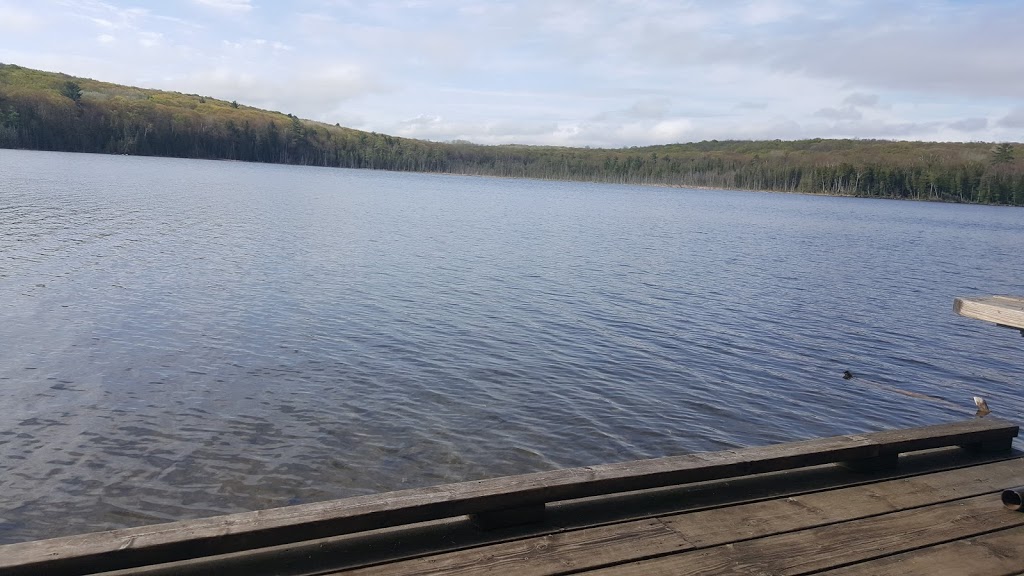 Wendat Hiking Trail | Unnamed Road, Tiny, ON L0K, Canada