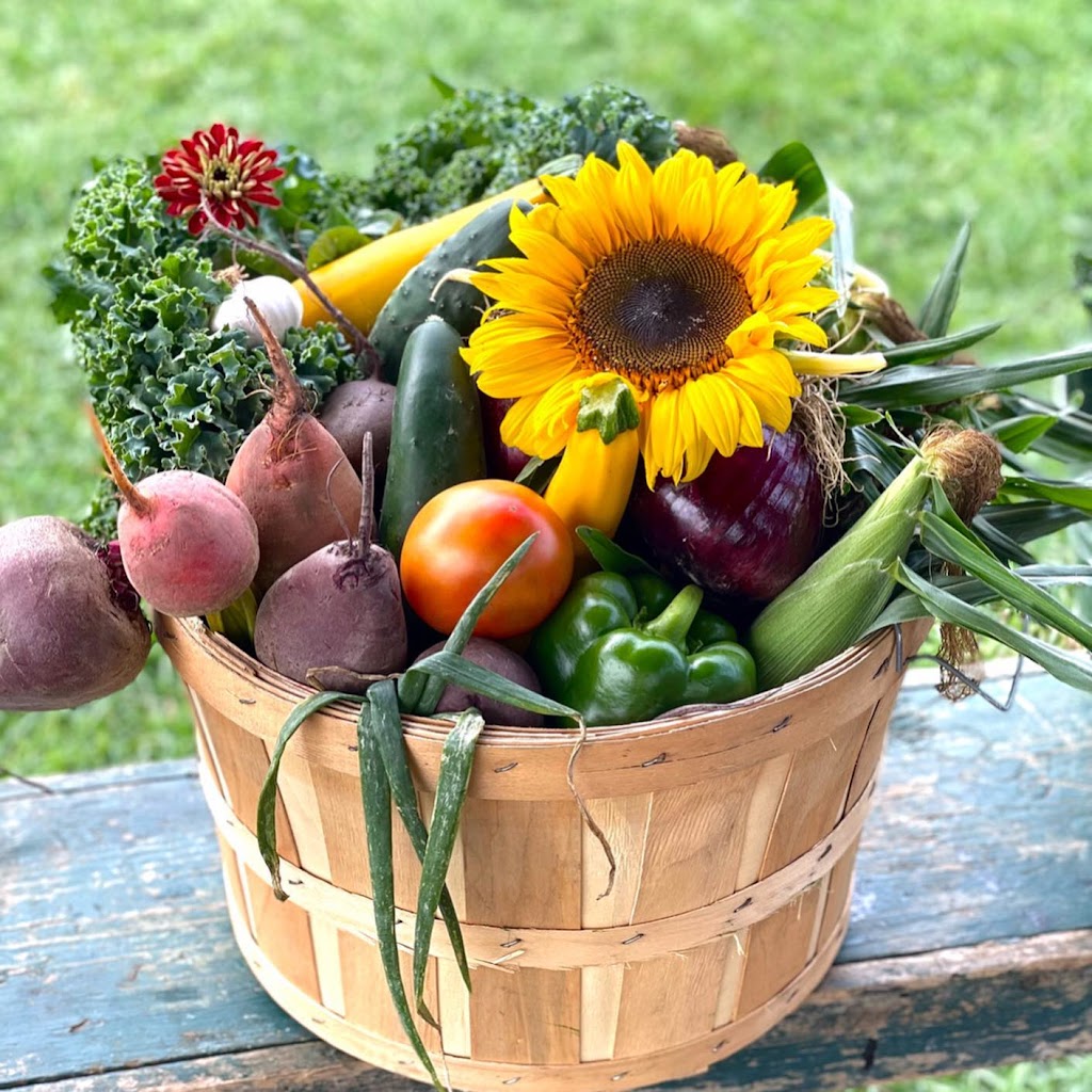 Potager Astral | 367 Rang de Fort-Georges, Sainte-Angèle-de-Monnoir, QC J0L 1P0, Canada | Phone: (514) 662-7814