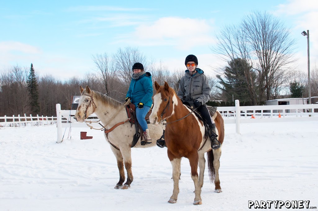 Party Poney | 7 1e Rang, Roxton Pond, QC J0E 1Z0, Canada | Phone: (450) 531-3127