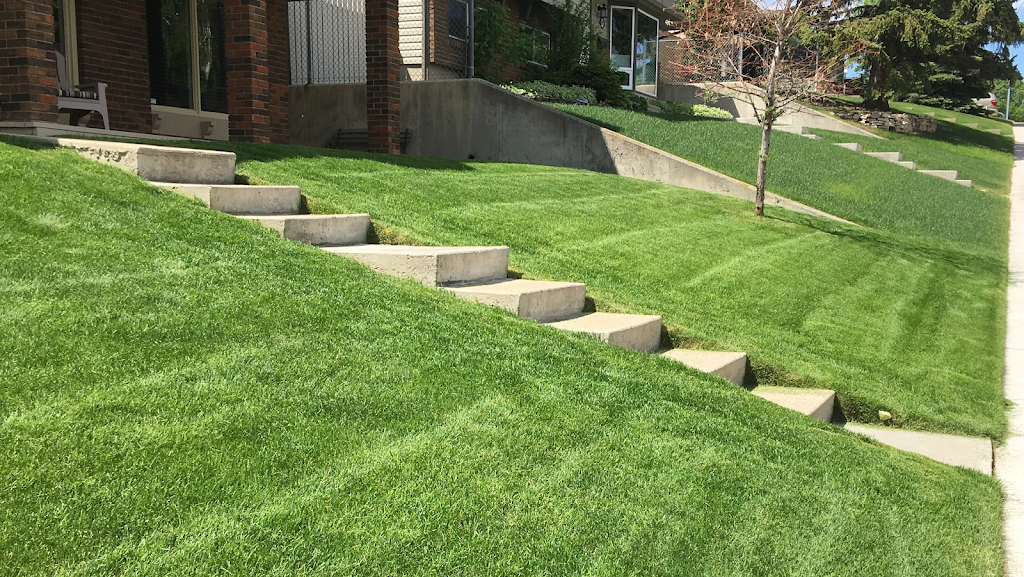 Lawn ‘N’ Order | 7703 68 Ave NW, Calgary, AB T3B 4P4, Canada | Phone: (403) 852-2988