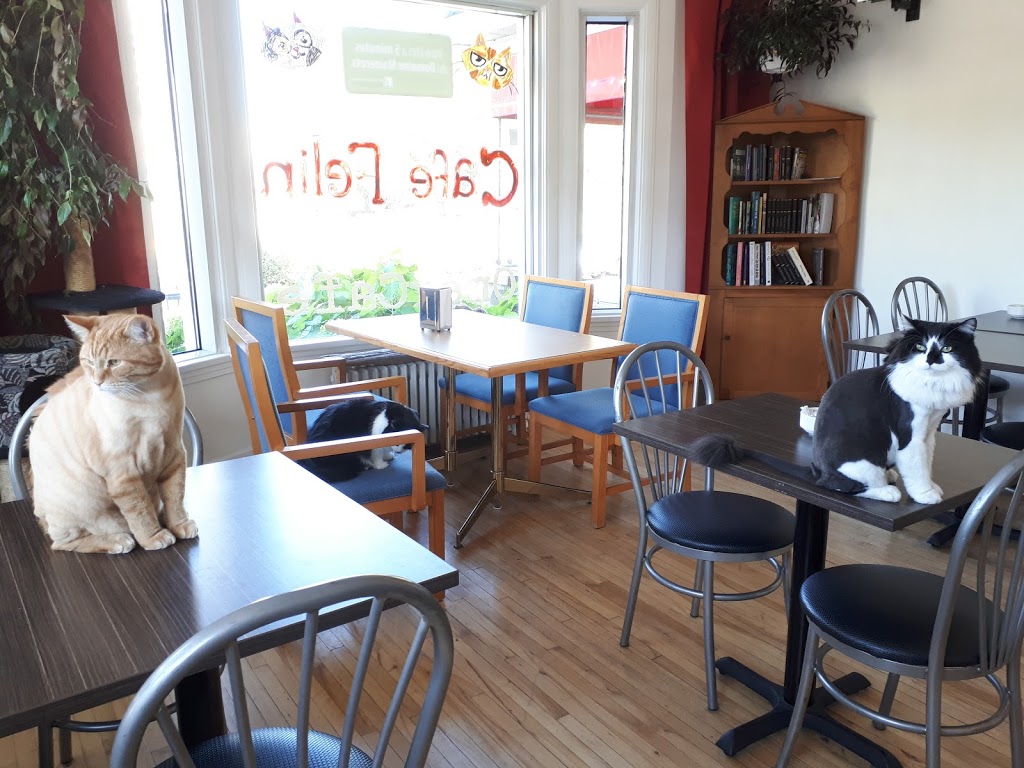 OmerCafe | 1900 18e Rue, Québec, QC G1J 2A1, Canada | Phone: (418) 928-3016