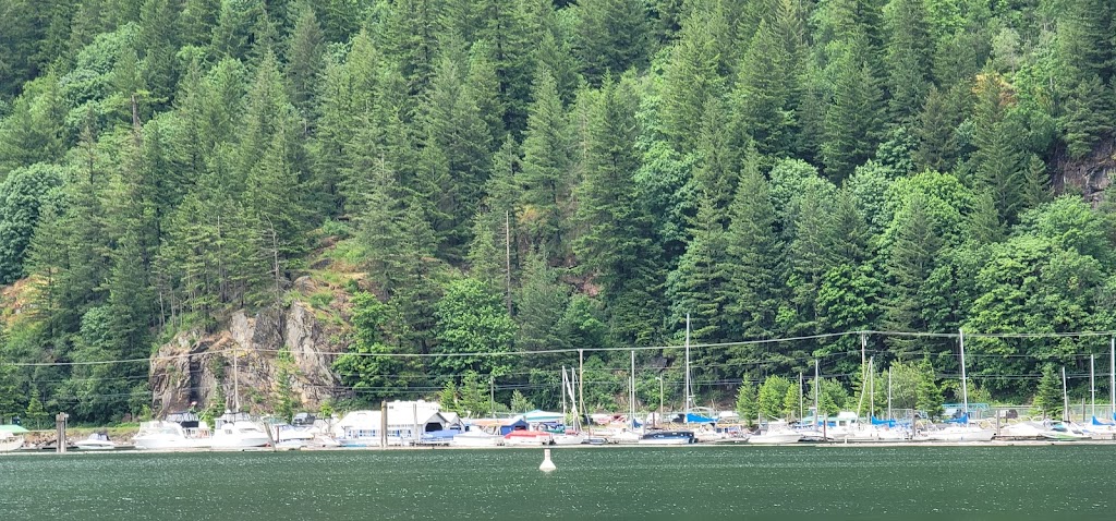 Harrison Hot Springs Marina | 102 Rockwell Dr, Harrison Hot Springs, BC V0M 1K0, Canada | Phone: (604) 796-8623