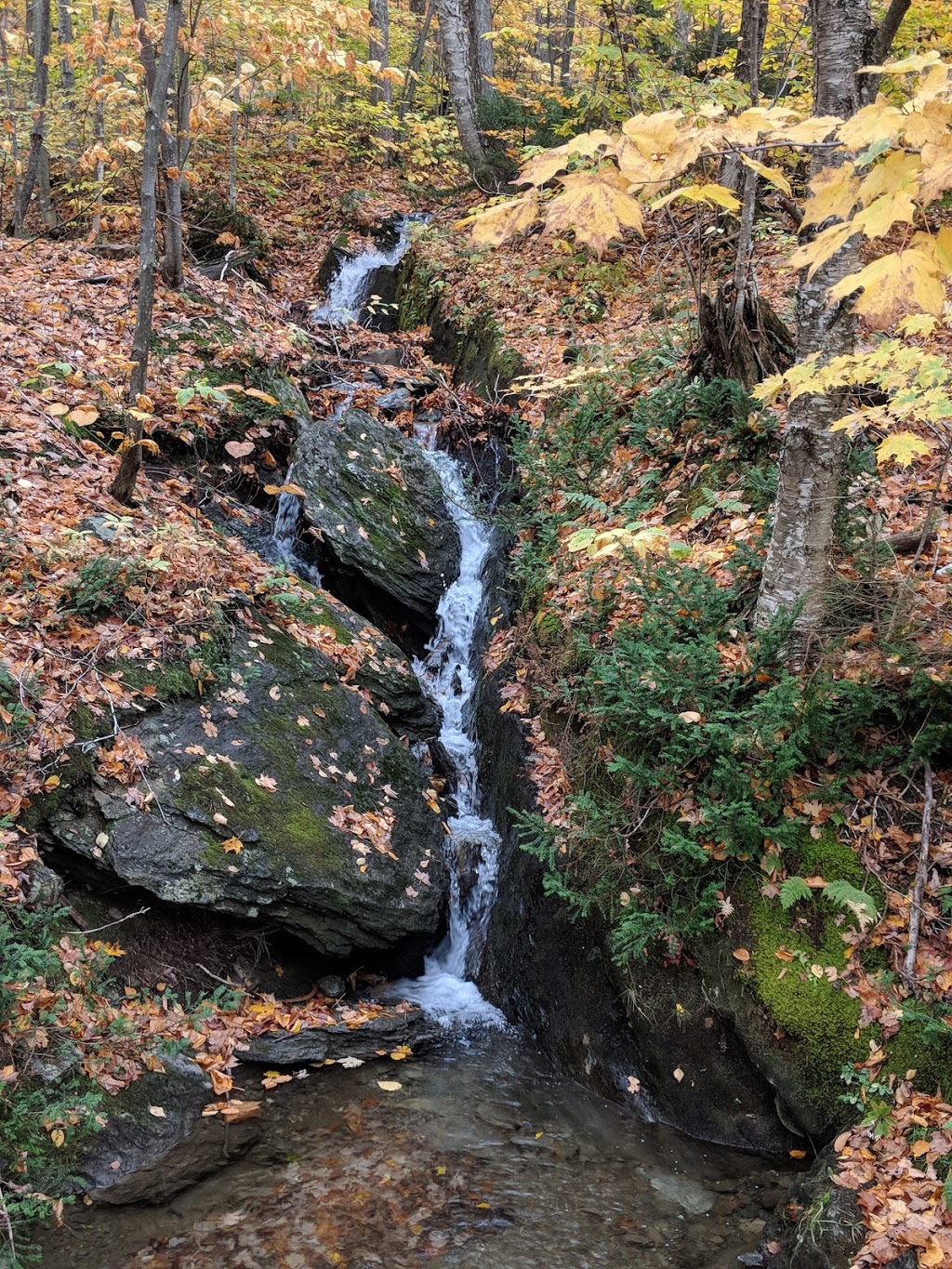 Parc denvironnement naturel de Sutton | 900 Chemin Réal, Sutton, QC J0E 2K0, Canada | Phone: (450) 538-4085