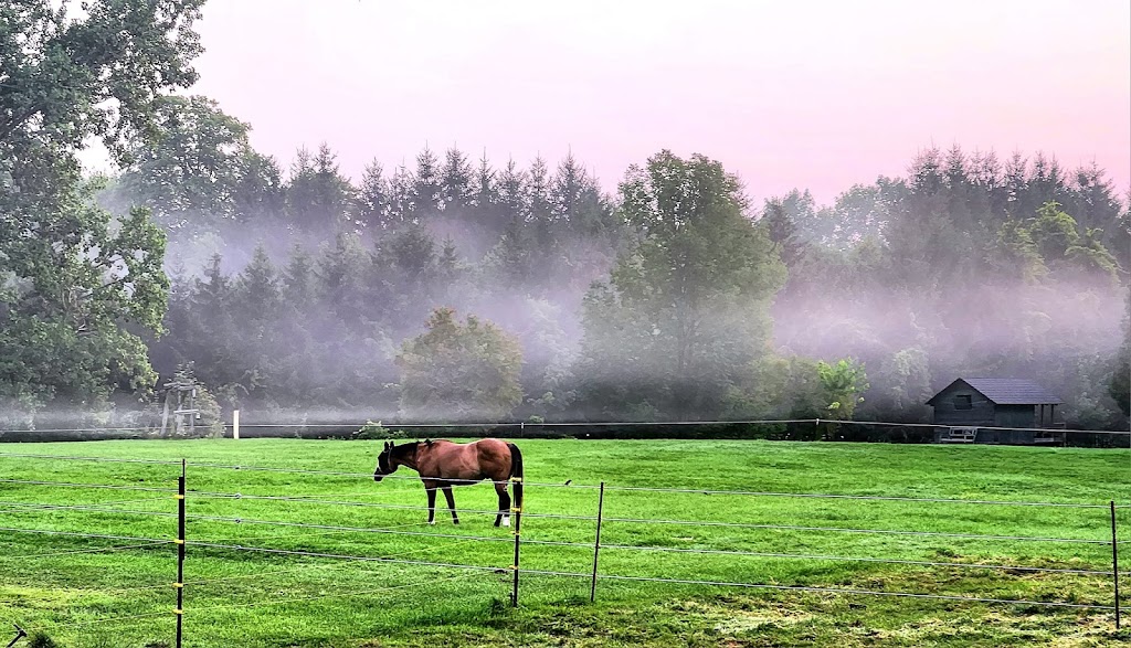 Blue Farm Stables Inc. | 24599 Thomson Line, West Lorne, ON N0L 2P0, Canada | Phone: (519) 319-1624