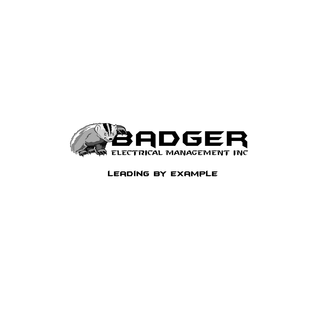 Badger Electrical Management | 248191 562 Ave E, Blackie, AB T0L 0J0, Canada | Phone: (403) 901-4945