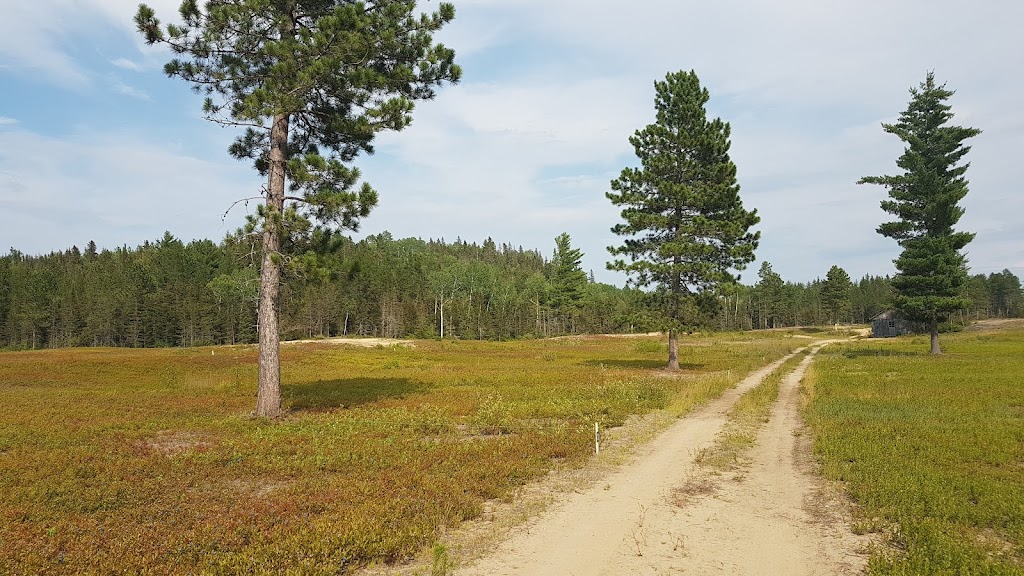 Bleuetière Saguenoise | 34 Chemin St Étienne, Petit-Saguenay, QC G0V 1N0, Canada | Phone: (418) 540-5212