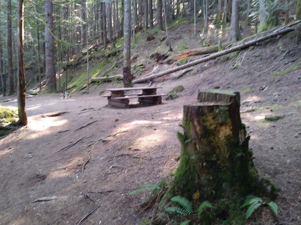 Cat Lake Recreation Site | Cheekye Forest Service Rd, Squamish, BC V8B 0P6, Canada