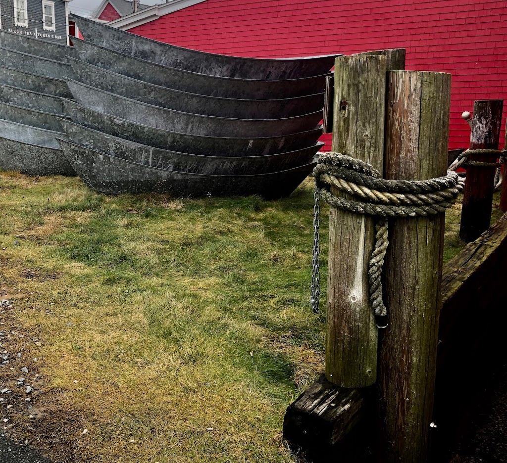 Seaweed Tours Lunenburg N.S. | 60 Bluenose Dr, Lunenburg, NS B0J 2C0, Canada | Phone: (902) 529-1052