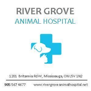 River Grove Animal Hospital | 1201 Britannia Rd W #15, Mississauga, ON L5V 1N2, Canada | Phone: (905) 567-4677