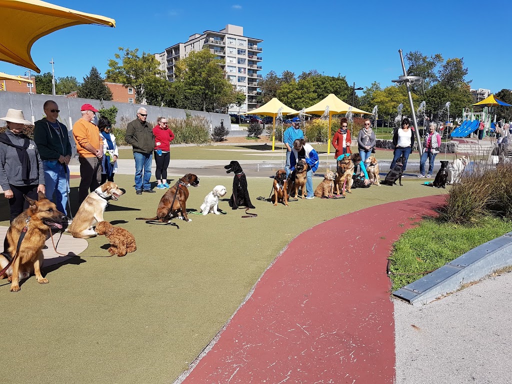 Canine Balance Training | 2487 Industrial St Unit 4 & 5, Burlington, ON L7P 1A6, Canada | Phone: (905) 465-5837