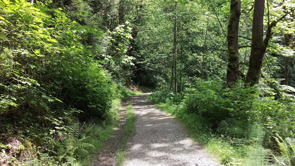 Clayburn Creek Trail | 4330 Blauson Blvd, Abbotsford, BC V3G 3C5, Canada