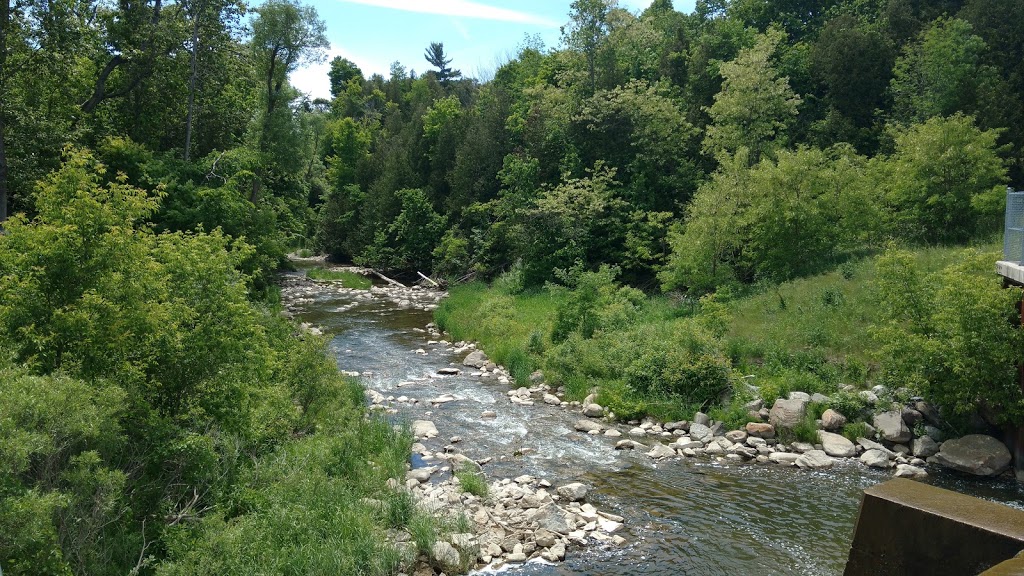 Seaton Hiking Trail | ON-7, Locust Hill, ON L0H 1J0, Canada