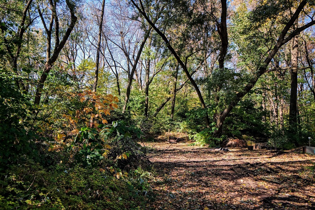 Shade Garden | Montreal, QC H1X 2B4, Canada