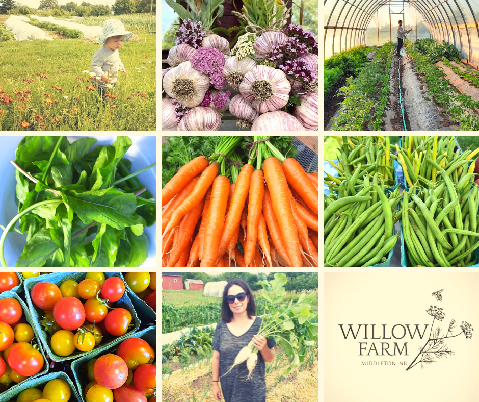 Willow Farm | 4659 NB-106, Middleton, NB E4K 3H2, Canada | Phone: (514) 586-5489