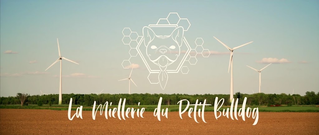 La Miellerie du Petit Bulldog | 808 Rue Saint Pierre S, Saint-Constant, QC J5A 2A7, Canada | Phone: (514) 996-9830