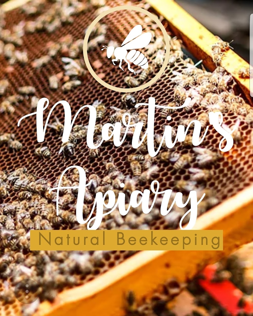 Martins Apiary | Box 2076, Athabasca, AB T9S 2B6, Canada | Phone: (780) 689-6873