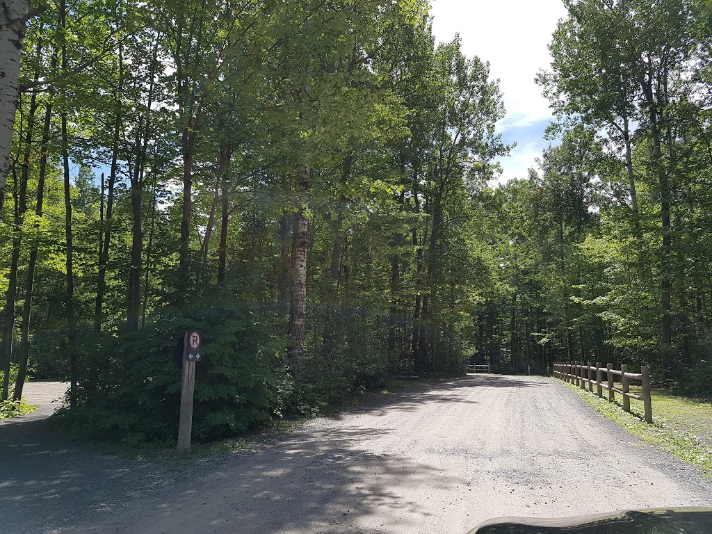 NCC Greenbelt P18 | Greenbelt Pathway, Ottawa, ON K1A 0K4, Canada