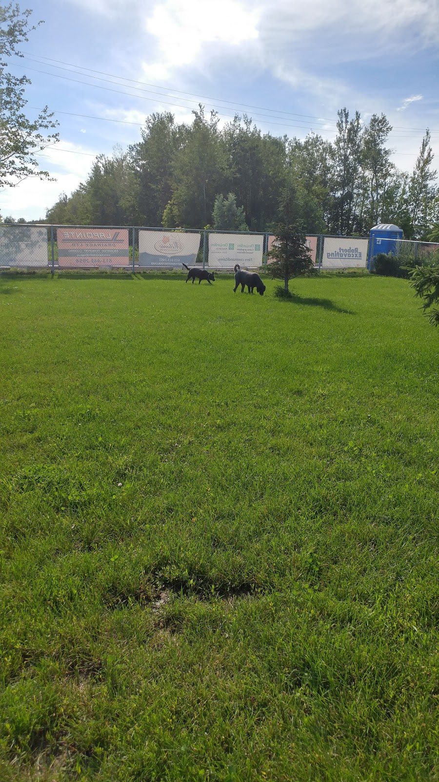 Parc canin Dog Park | 550 Notre Dame St, Russell, ON K4R 1E5, Canada | Phone: (613) 443-3066