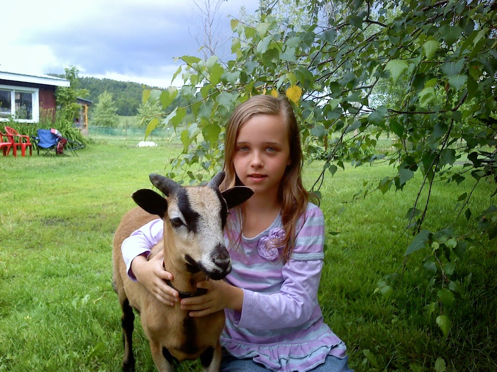 Ferme les trois coteaux | 24 Rang Thomas, Notre-Dame-de-la-Paix, QC J0V 1P0, Canada | Phone: (819) 522-6330