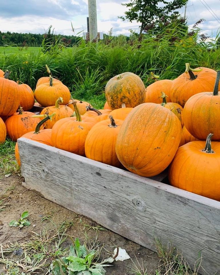 La Ferme Potagère | 1523 Chem. Ayers Cliff, Magog, QC J1X 7Z9, Canada | Phone: (819) 843-2884