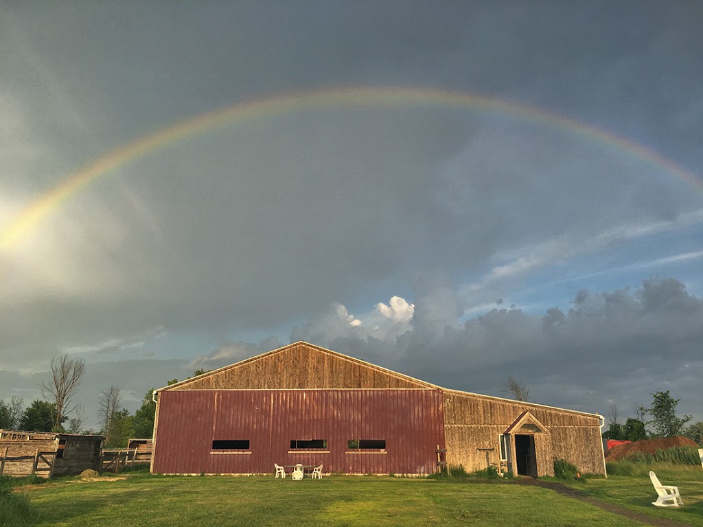 Manège Du Centaure Equestrian Center And School Déquitation | 210 Chemin du Grand-Pré, Saint-Jean-sur-Richelieu, QC J2Y 1J5, Canada | Phone: (450) 358-5559