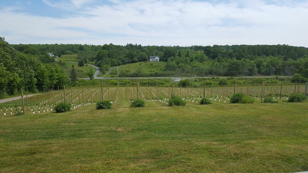 Annapolis Highland Vineyards | 2635 Clementsvale Road, Bear River, NS B0S 1B0, Canada | Phone: (902) 467-0363