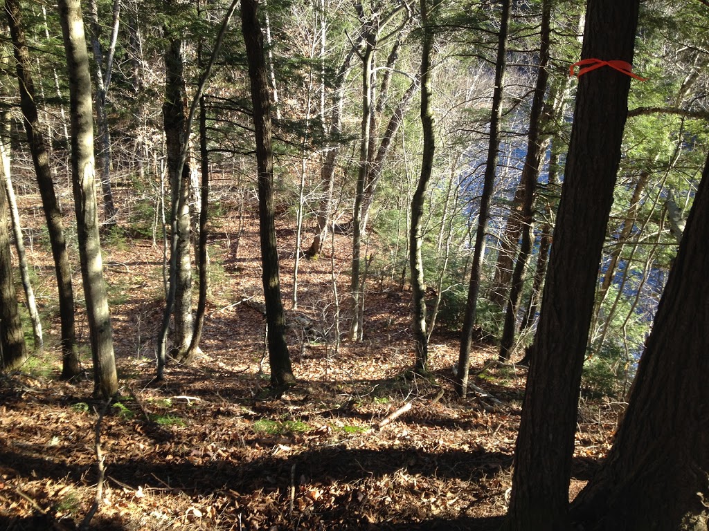 Sentier de la rivière du Chêne, secteur des Trois-Fourches | Saint-Édouard-de-Lotbinière, QC G0S 1Y0, Canada | Phone: (418) 926-3407