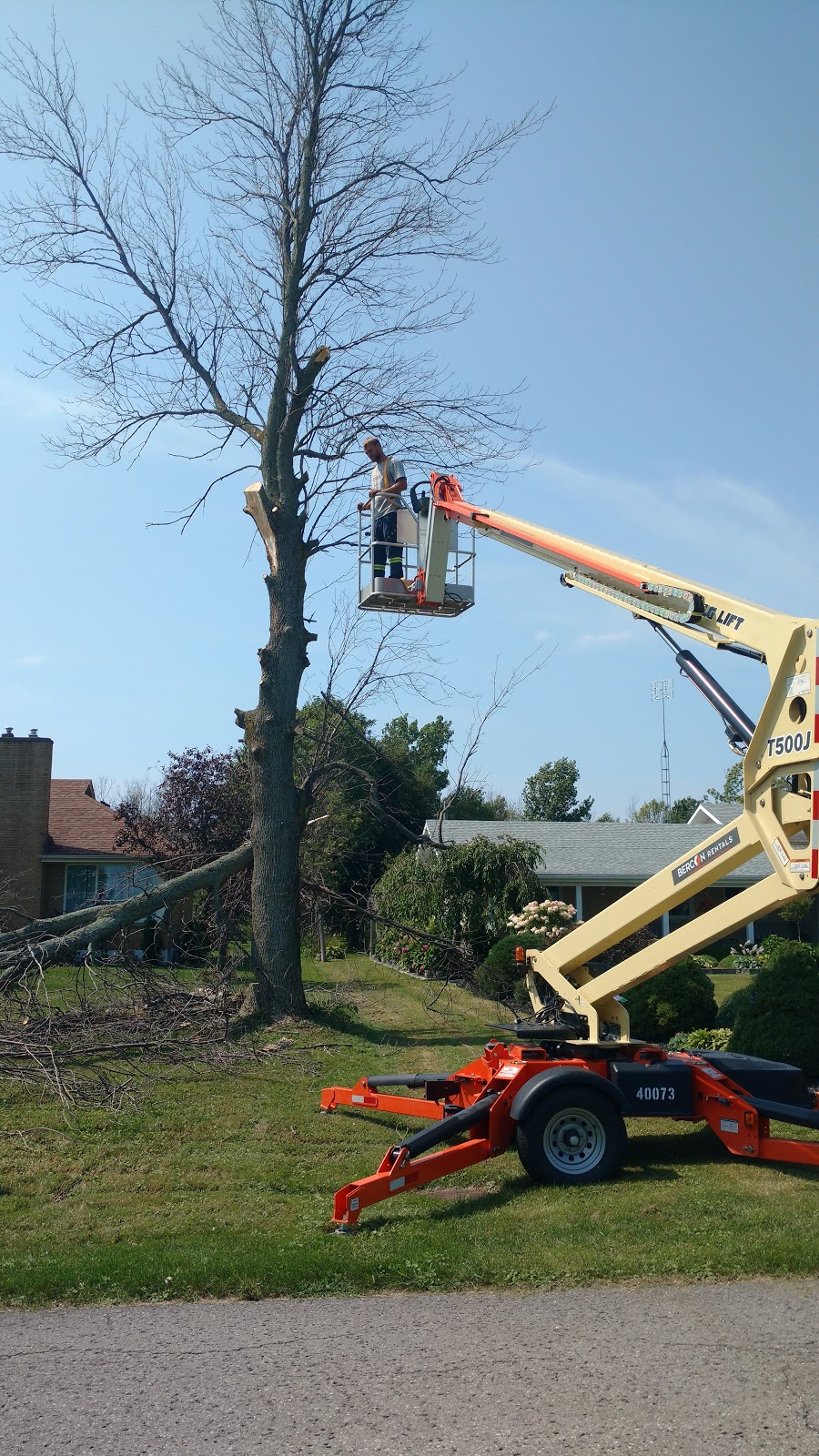 Rons tree service | 1700 Chatham Rd, Fort Erie, ON L2A 5M4, Canada | Phone: (289) 213-6186