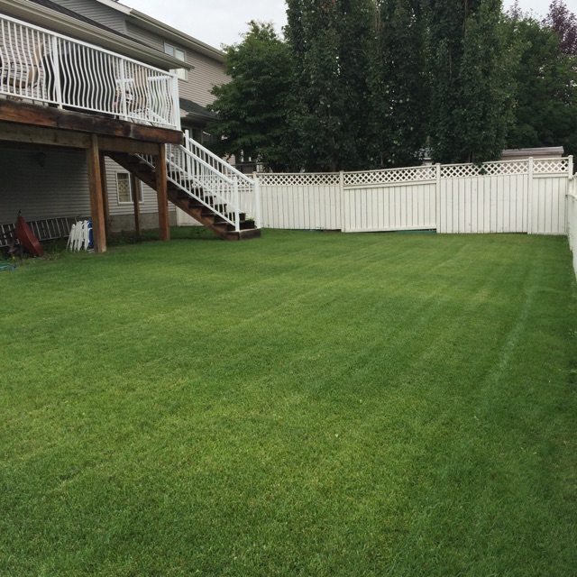 Brothers Lawn Care | 31A Timberstone Way, Red Deer, AB T4P 0V4, Canada | Phone: (403) 848-1428