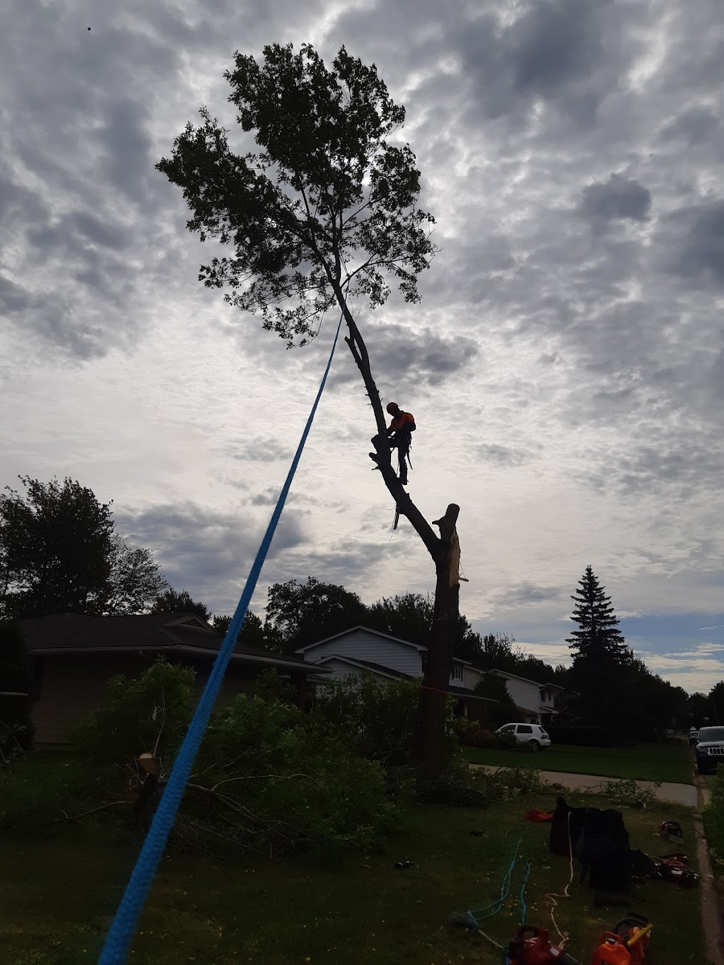 No Limits Tree Experts Inc. | 1359 NB-114, Lower Coverdale, NB E1J 1C5, Canada | Phone: (506) 609-8733