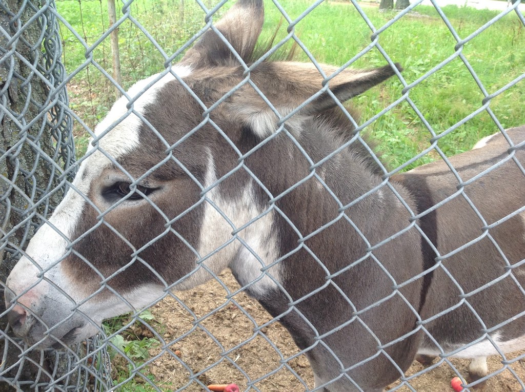 Zoo St-Édouard | 3381 Rang des Chutes, Saint-Édouard-de-Maskinongé, QC J0K 2H0, Canada | Phone: (819) 268-5150