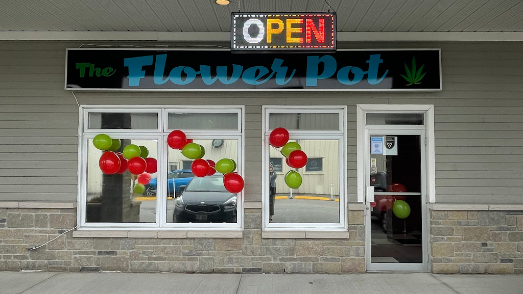 The Flower Pot | 453 Ottawa St Unit 2, Almonte, ON K0A 1A0, Canada | Phone: (613) 256-9766