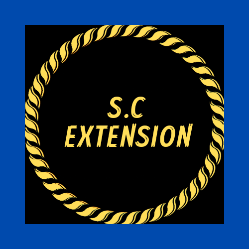 Sc extension | 654 Av. de Norvège #4, Québec, QC G1X 3E8, Canada | Phone: (418) 478-7074