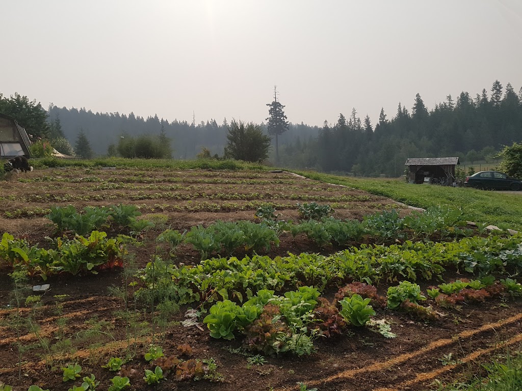 BlueJay Lake Farm | Strathcona, BC V0P 1T0, Canada | Phone: (250) 935-6940