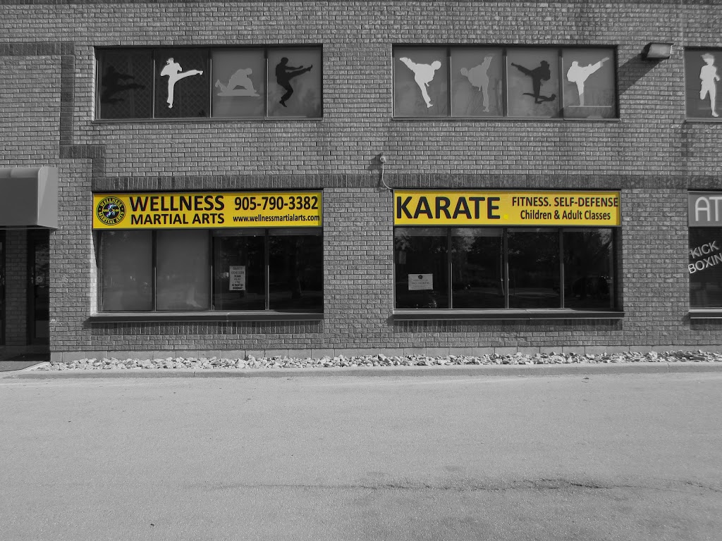 Wellness Martial Arts | 2131 Williams Pkwy Unit #2, Brampton, ON L6S 5Z4, Canada | Phone: (905) 790-3382