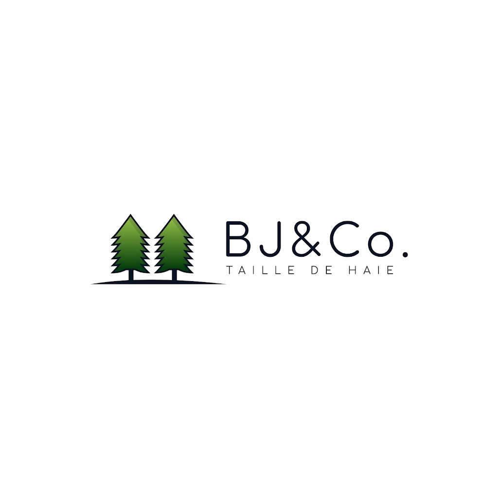 BJ&Co. | 44 Rue Biron, Victoriaville, QC G6S 0B5, Canada | Phone: (581) 991-5155