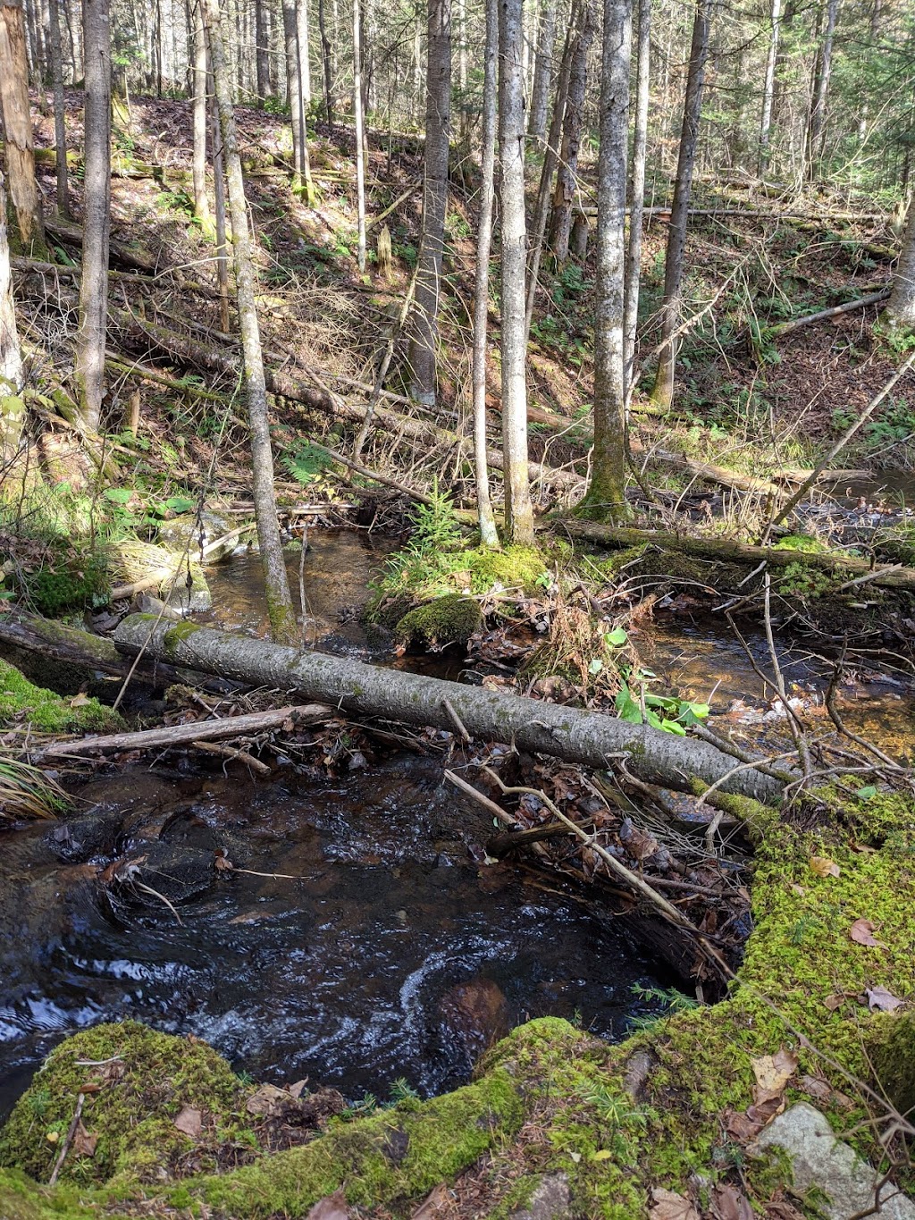 Centre De Plein Air Le Saisonnier | 78 Chem. du Brûlé, Lac-Beauport, QC G3B 0P8, Canada | Phone: (418) 849-2821