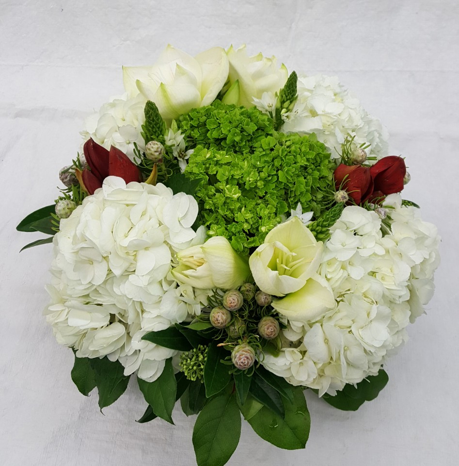 Tom’s Florist | 572 Eglinton Ave W, Toronto, ON M5N 1B7, Canada | Phone: (647) 352-9188