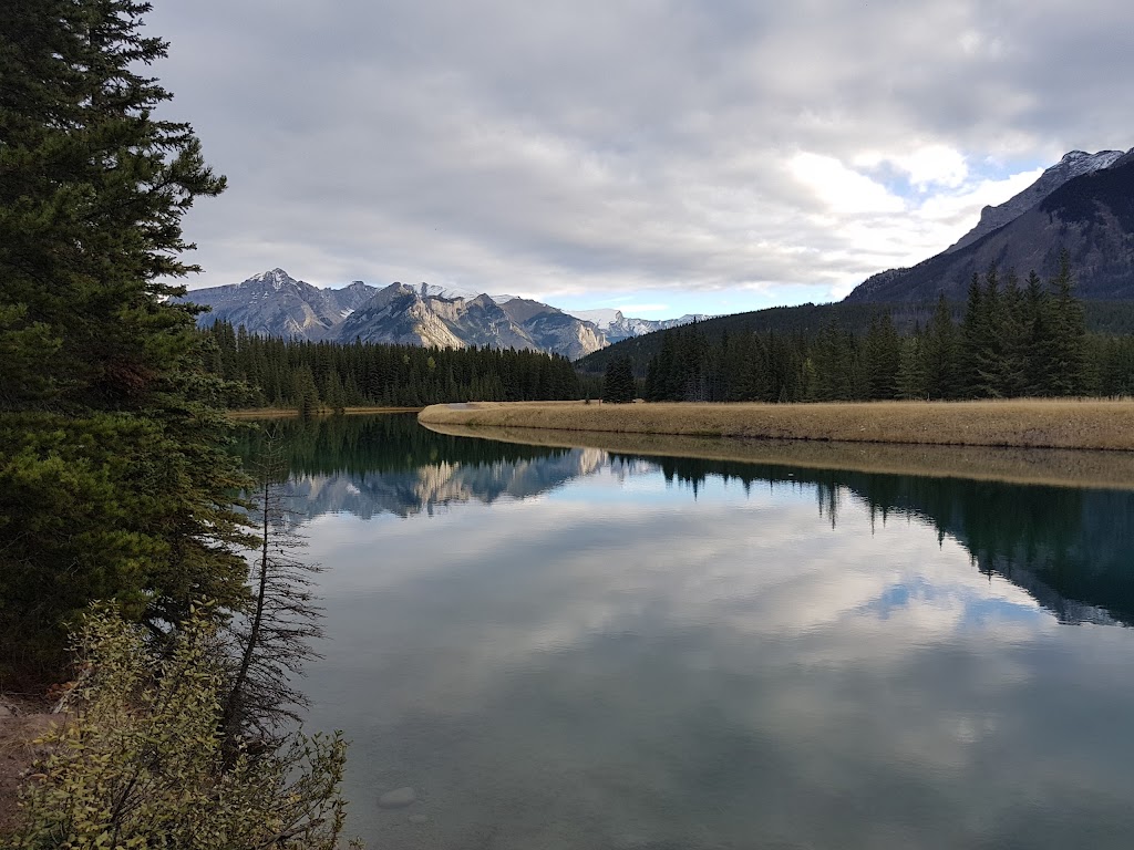 Carrot Creek Walk To Lake | AB-1, Alberta T0L 2C0, Canada | Phone: (403) 762-1550