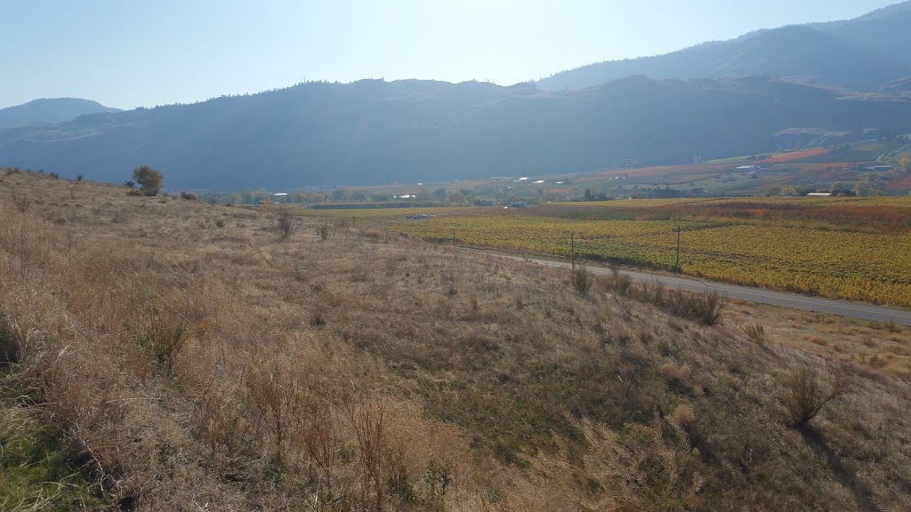 Mark Anthony Properties Ltd | Sibco Landfill Rd, Oliver, BC V0H 1T0, Canada | Phone: (250) 485-4400