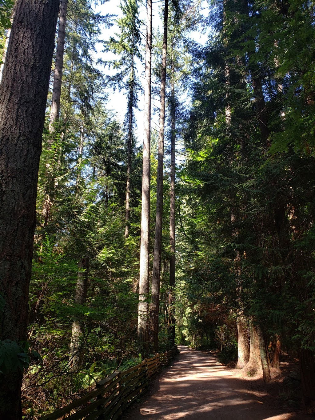 Sasamat Trail Public Outhouse | Sasamat Trail near 33rd Entrance, Sasamat Trail (22), Vancouver, BC V6N 2C4, Canada | Phone: (604) 224-5739