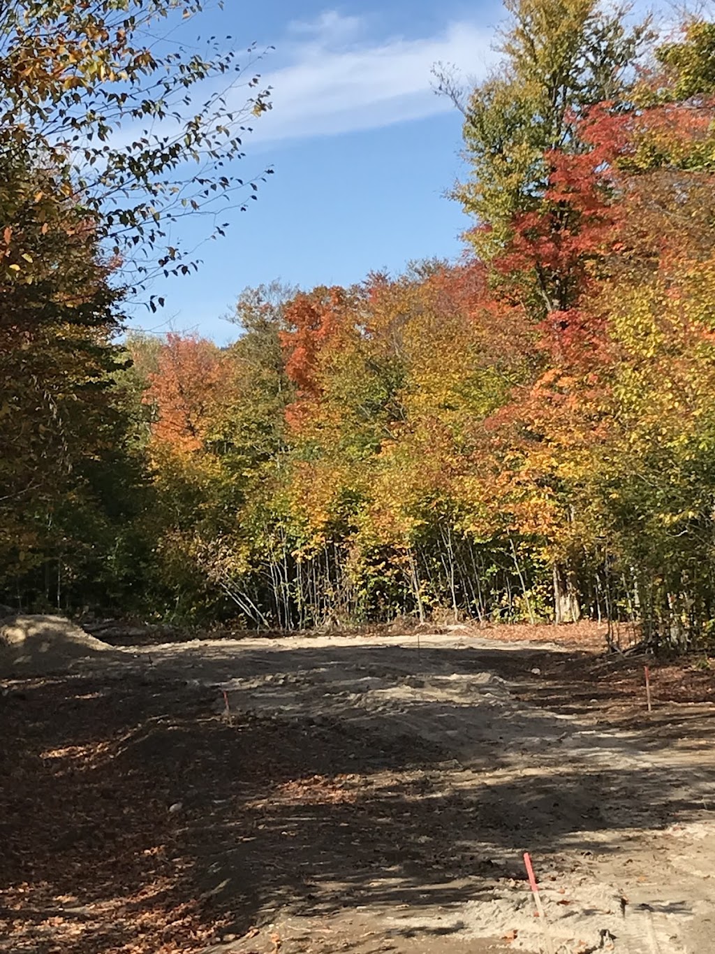 Le boisé du lac Ouareau | 1056 Chemin Marie-Anne, 1056 Chemin des Bois-Francs, Notre-Dame-de-la-Merci, QC J0T 2A0, Canada | Phone: (514) 978-6234