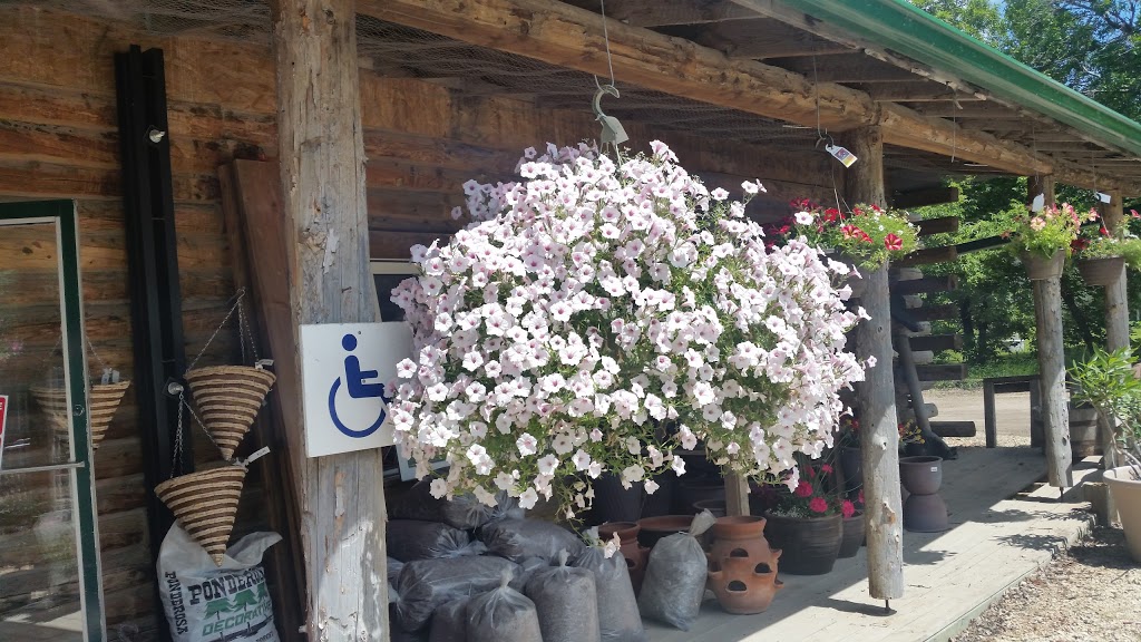 Van der meer Garden Centre | Dumaine Rd, Ile des Chênes, MB R0A 0T0, Canada | Phone: (204) 878-3420