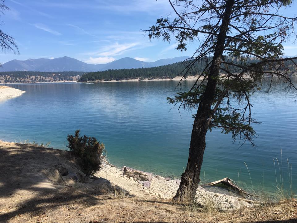 Englishman Creek Recreation Site | Kikomun Newgate Rd, East Kootenay B, BC V0B 1T0, Canada | Phone: (778) 687-1593