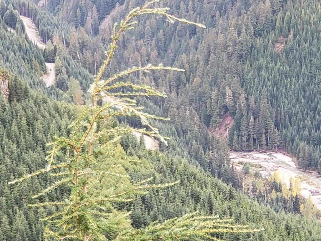 Watersprite Lake Trailhead | Unnamed Rd,, Squamish-Lillooet D, BC V0N 1J0, Canada