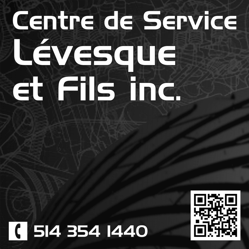 Centre de service Levesque et Fils | 10755 Rue Pascal-Gagnon, Montréal-Nord, QC H1P 1Z9, Canada | Phone: (514) 354-1440