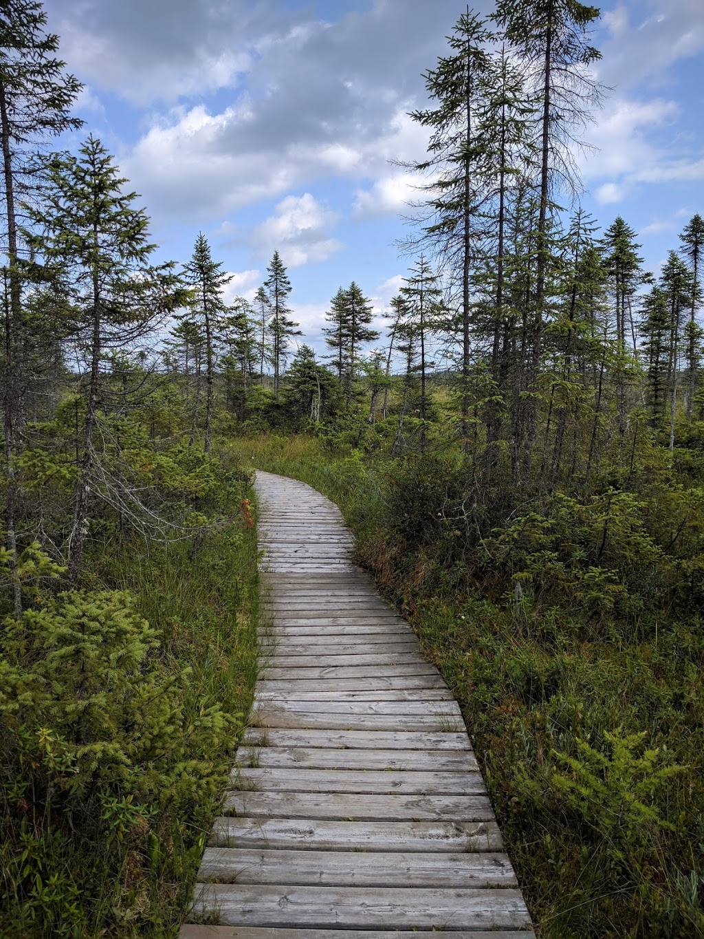 Frontenac National Park | 599 Chemin des Roy, Sainte-Praxède, QC G0M 1H1, Canada | Phone: (800) 665-6527