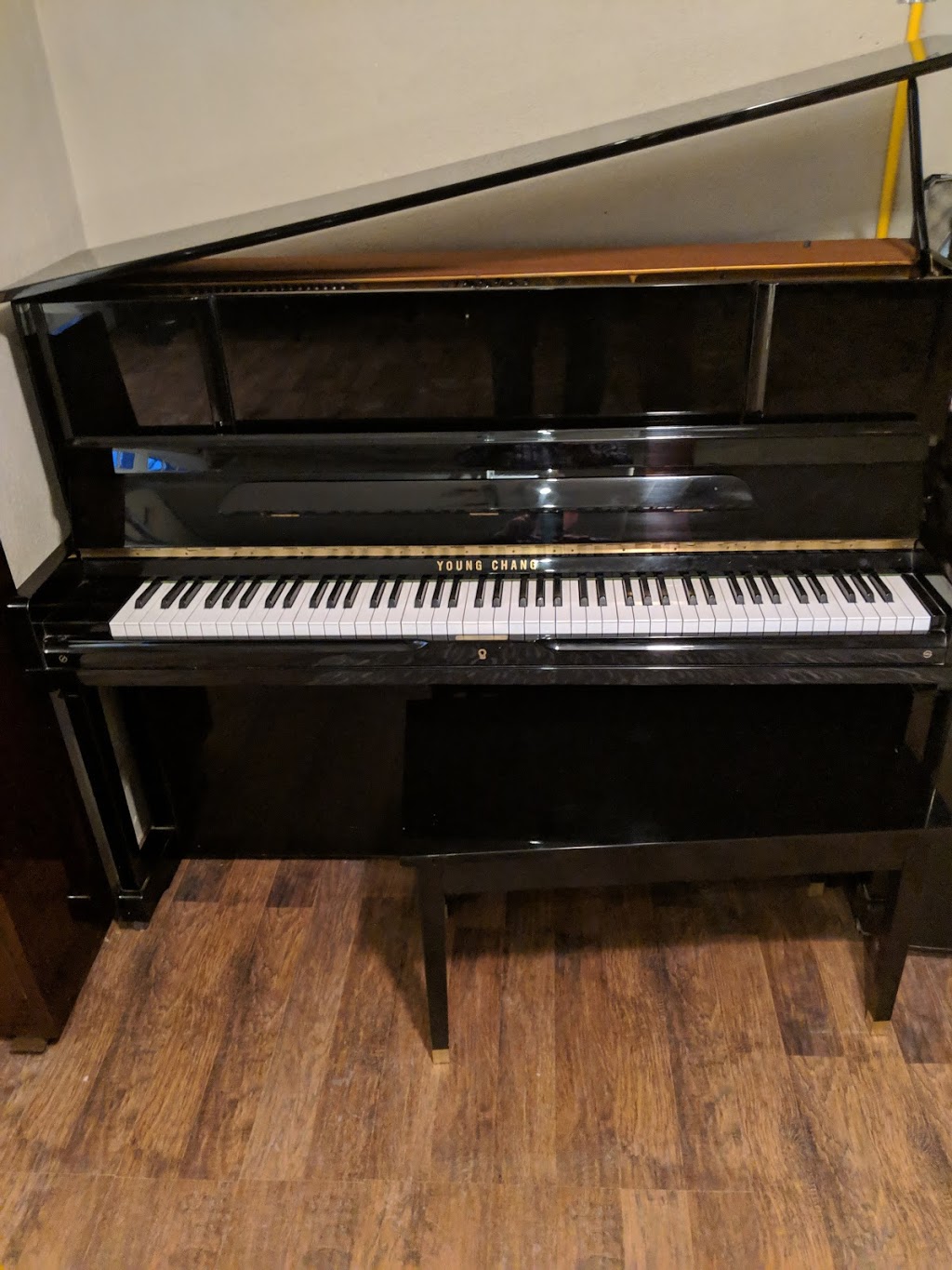 Haines Piano Service | 72 Pleasant Ridge Rd, Brantford, ON N3R 0B8, Canada | Phone: (519) 752-1431