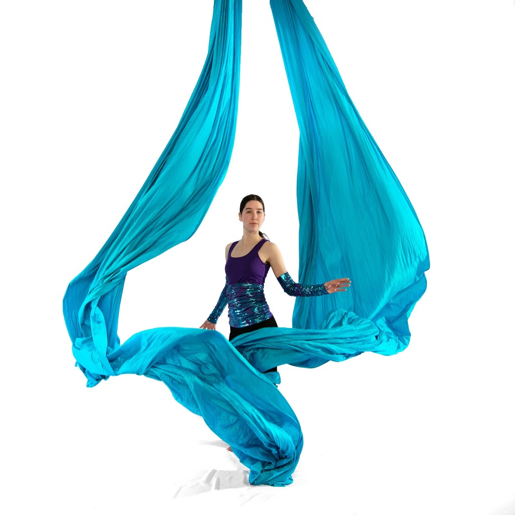 mutable ARTS dance and aerial arts studio | 337 S Sykes St #3, Meaford, ON N4L 1C5, Canada | Phone: (519) 370-9087