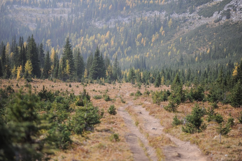 Burstall Pass Trailhead | Smith Dorrien Trail, Alberta T0L 2C0, Canada | Phone: (403) 678-0760